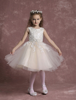 Blumenmädchen Kleider Champagner Abendkleider für Hochzeit Tüll Prinzessin mit Rundkragen Hochzeit knielang kleid blumenmädchen