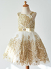 Blumenmädchen Kleider Champagner Abendkleider für Hochzeit Tüll ärmellos Prinzessin Hochzeit mit Rundkragen kleid blumenmädchen knielang