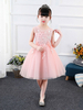 Blumenmädchenkleider Jewel Neck Sleeveless Bestickte Kinder Social Party Kleider