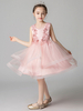 Blumenmädchenkleider Jewel Neck Sleeveless Bestickte Kinder Social Party Kleider