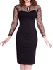 Bodycon Kleider Black Sheer Jewel Neck Sexy Langarm Bleistiftkleid