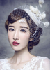 Braut Hochzeit Fascinator Hut Perlen Tiara Leinen Kopfbedeckungen Vogelkäfig Schleier (28 X 14 Cm)
