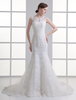 Brautkleid aus Spitze mit Hof-Schleppe in Elfenbeinfarbe