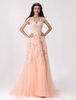 Brautkleid aus Tüll in Champagnerfarbe