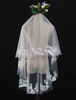 Brautschleier Tüll Spitze Applique Champagner Bridal Veil