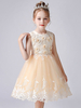 Champagner Farbe Blume Mädchen Kleider Juwel Hals ärmellose kurze Prinzessin Spitze Blumen formelle Kinder Festzug Kleider