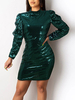 Club Kleid Hoher Kragen Sexy Reißverschluss Lange Ärmel Pailletten Dunkelgrün Sexy Kleid