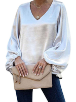 Damen Bluse Silber Polyester mit V-Ausschnitt-beiläufige lange Ärmel Tops