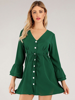 Damen Skater Kleider Grün Polyester Plissee Lässig Langarm Fit Und Flare Kleid