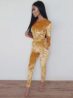 Damen Zweiteiler Sets Blondes Velours Lange Gerade Hose Jewel Neck Athletic Langarm Bluse Outfit