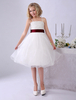 Elfenbein Blume Mädchen Kleider Spaghetti-Trägern Tutu Kleid Spitze Band Bogen Schärpe kurz Kinder Party Kleid Milanoo