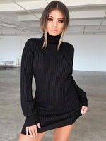 Etuikleid mit Rollkragen Kleider Langarm Schwarz PAN Damenmode für Herbst und Frühling mit Stricken im schicken & modischen Style