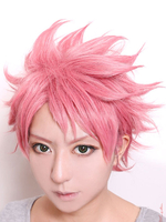 Fasching Fairy Tail Natsu Dragon Karneval Cosplay Perücke Faschingskostüme