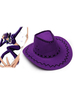 Fasching Nico·Robin Cowboy Filzhut in Lila