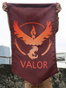 Fasching Taschenmonster Cosplay Moltres Articuno Zapdos Cosplay Flag Faschingskostüme