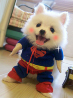Faschingskostüm Blauen Superman Hunde Kostüm Kawaii Tierkostüm