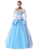 Faschingskostüm Cinderella Karneval Kostüm Ballkleider Frauen Prinzessin Kleider Outfit in Blau Karneval Kostüm