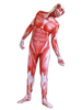 Faschingskostüm Cosplay Angriff auf Titan Lycra Spandex Jumpsuit Cosplay Kostüm Karneval Kostüm