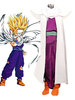 Faschingskostüm Dragon Ball Son Gōhan Cosplay Kostüm Karneval Kostüm