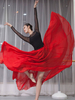 Faschingskostüm Gesellschaftstanz Kostüme Chiffon Plissee Ballett Performance Kleid Karneval Kostüm Karneval Kostüm