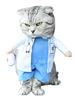 Faschingskostüm Haustier Kostüm Arzt Light Sky Blue Kleidung Polyester Pet Supply Karneval Kostüm