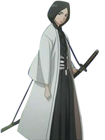 Faschingskostüm Hübsches einfaches Cosplay Kostüm von Bleach Unohana Retsu