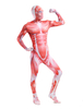 Faschingskostüm hingeki kein Kyojin Angriff auf Titan Lycra Spandex Zentai-Anzug Karneval Kostüm