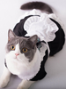 Faschingskostüm Hund Karneval Kostüm Dienstmädchen in Schwarz Polyester Polyester für Karneval mit Kleid Karneval Kostüm