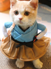 Faschingskostüm Katze Kostüme Ozean Blau Urashima Taro Tier Kostüm Karneval Kostüm