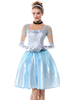 Faschingskostüm-Kostüm Aschenputtel Prinzessin Frauen hell himmelblau Kleider Outfit