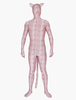 Faschingskostüm Metallic-Zentai Overall mit Leopardenmuster