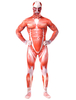 Faschingskostüm Monster Zentai Klage-Erwachsen-Lycra Spandex Unisex Shingeki kein Kyojin Kostüm Cosplay Karneval Kostüm