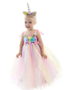 Faschingskostüm Regenbogen EInhorn Kleid 2021 Tutu Baby Mädchen Blumen PrInzessIn Kostüm Stirnband KInder Halloween Kostüm Karneval Kostüm Karneval Kostüm