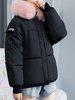 Frauen Black Puffer Coats Buttons Kapuzenreißverschluss Langarm Color Block Casual Wintermantel Oberbekleidung