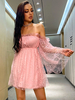 Frauen Skater Kleider Pink Polyester Bateau Neck Langarm Sexy Schlagkleid Midi Kleid