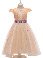 Gefrorene Kinder Cartoon Cosplay Champagner Prinzessin Kleid Sommer Kinder Cosplay Kostüme