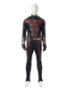 Halloween Ant-Mann und die Wespe AntMan Scott Lang 2020 Karneval Cosplay Kostüm Karneval Kostüm Faschingskostüme
