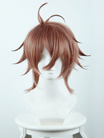 Halloween Cosplay Perücke in Braun Hitzebeständigen Faser fate mit Perücke Japanischer Anime Cosplay Faschingskostüme