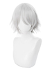 Halloween Fate Grand Order Cosplay Perücke FGO Cos Lang Lin Wang Silber Grau Kurze Perücke Halloween Faschingskostüme