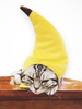 Haustier Katze Karneval Kostüm Kostüm Banane Cartoon Gelb Kopfbedeckung Polyester Pet Supply