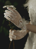 Hochzeitshandschuhe Kurzes Zubehör Tüll Spitze Brauthandschuhe