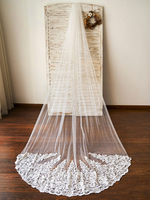 Hochzeitsschleier Einstufiger Tüll Spitze Applique Edge Classic Brautschleier