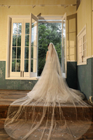 Hochzeitsschleier One Tier Lace Tüll Cut Edge Classic Brautschleier