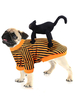 Hundekostüm Karneval Kostüm Orange Kleidung Black Cat Polyester Pet Supply