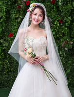 Juliet Cap Schleier Hochzeit ein Tier Spitze Tüll Applique Brautschleier