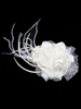 Kopfschmuck Hochzeit Braut Haarschmuck
