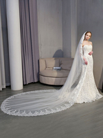 Lange Kathedrale Brautschleier Kamm Ecru weiße Tüll Spitze Applique einstufige Braut Accessoires