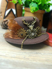 Lolita Haar-Accessoires mit Farbblock und Sepiabraun Accessoires Tea party und Kopfschmuck