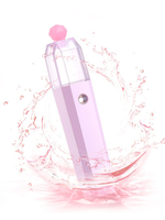 Nano Gesichtsdampfer Portable USB Aufladung Ionisch Gesichts-Nebel Sprayer Pink Beauty Pflege Feuchtigkeitscreme