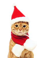 Pet Cat Kostüm Weihnachten Red Scarf Polyester Pet Supply